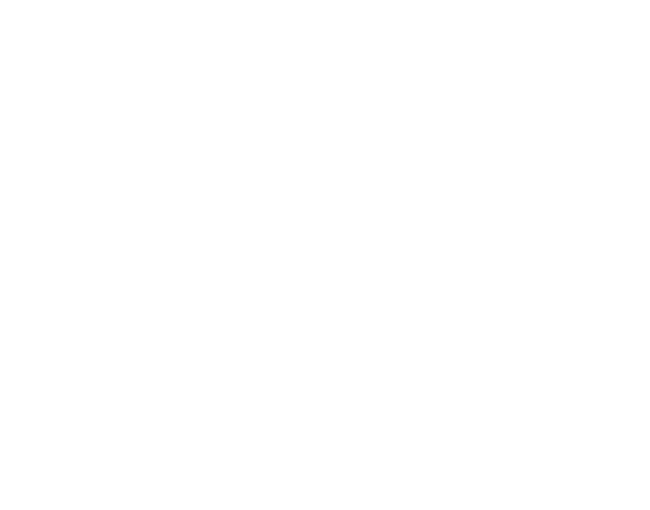 LearnIn-Logo-white